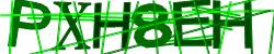 Retype the CAPTCHA code from the image