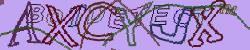 Retype the CAPTCHA code from the image