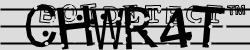 Retype the CAPTCHA code from the image
