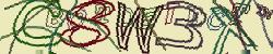 Retype the CAPTCHA code from the image