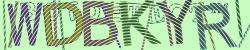 Retype the CAPTCHA code from the image