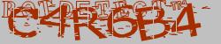 Retype the CAPTCHA code from the image