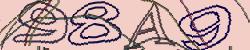 Retype the CAPTCHA code from the image