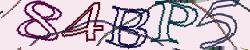Retype the CAPTCHA code from the image