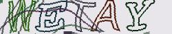 Retype the CAPTCHA code from the image