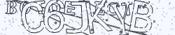 Retype the CAPTCHA code from the image
