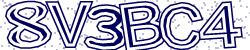Retype the CAPTCHA code from the image