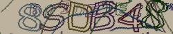 Retype the CAPTCHA code from the image