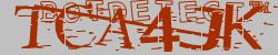 Retype the CAPTCHA code from the image
