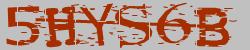 Retype the CAPTCHA code from the image