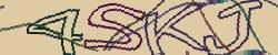 Retype the CAPTCHA code from the image