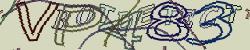 Retype the CAPTCHA code from the image