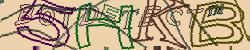 Retype the CAPTCHA code from the image