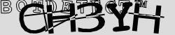 Retype the CAPTCHA code from the image