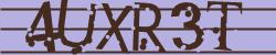 Retype the CAPTCHA code from the image