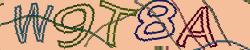 Retype the CAPTCHA code from the image