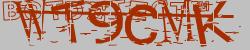 Retype the CAPTCHA code from the image
