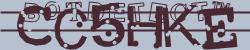 Retype the CAPTCHA code from the image