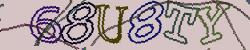 Retype the CAPTCHA code from the image