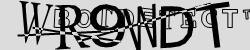 Retype the CAPTCHA code from the image