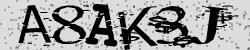 Retype the CAPTCHA code from the image